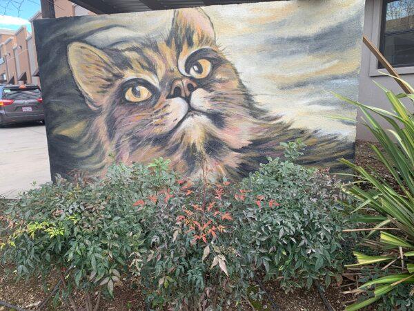 A mural of Suzanne Gayle’s cat that she painted on a dumpster enclosure. (Courtesy of Suzanne Gayle)