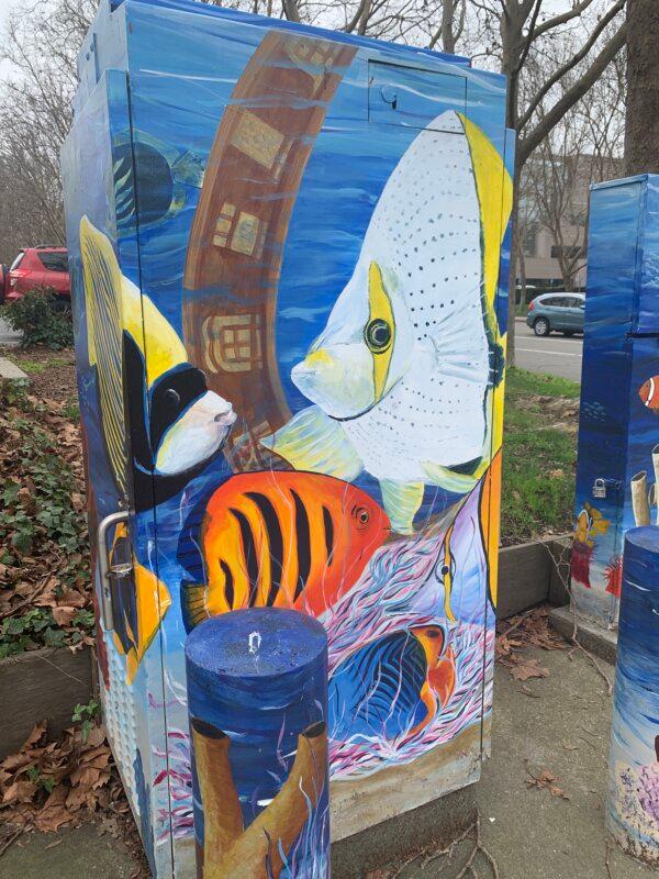 A painting of fish underwater by Suzanne Gayle on a public utility box in San Ramon, Calif., on Jan. 28, 2024. (Helen Billings/The Epoch Times)