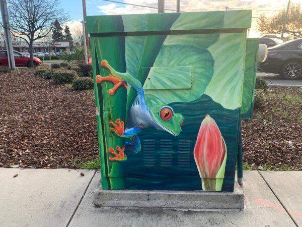 A painting of a frog by Suzanne Gayle on a public utility box in Hayward, Calif., on Jan. 28, 2024. (Helen Billings/The Epoch Times)