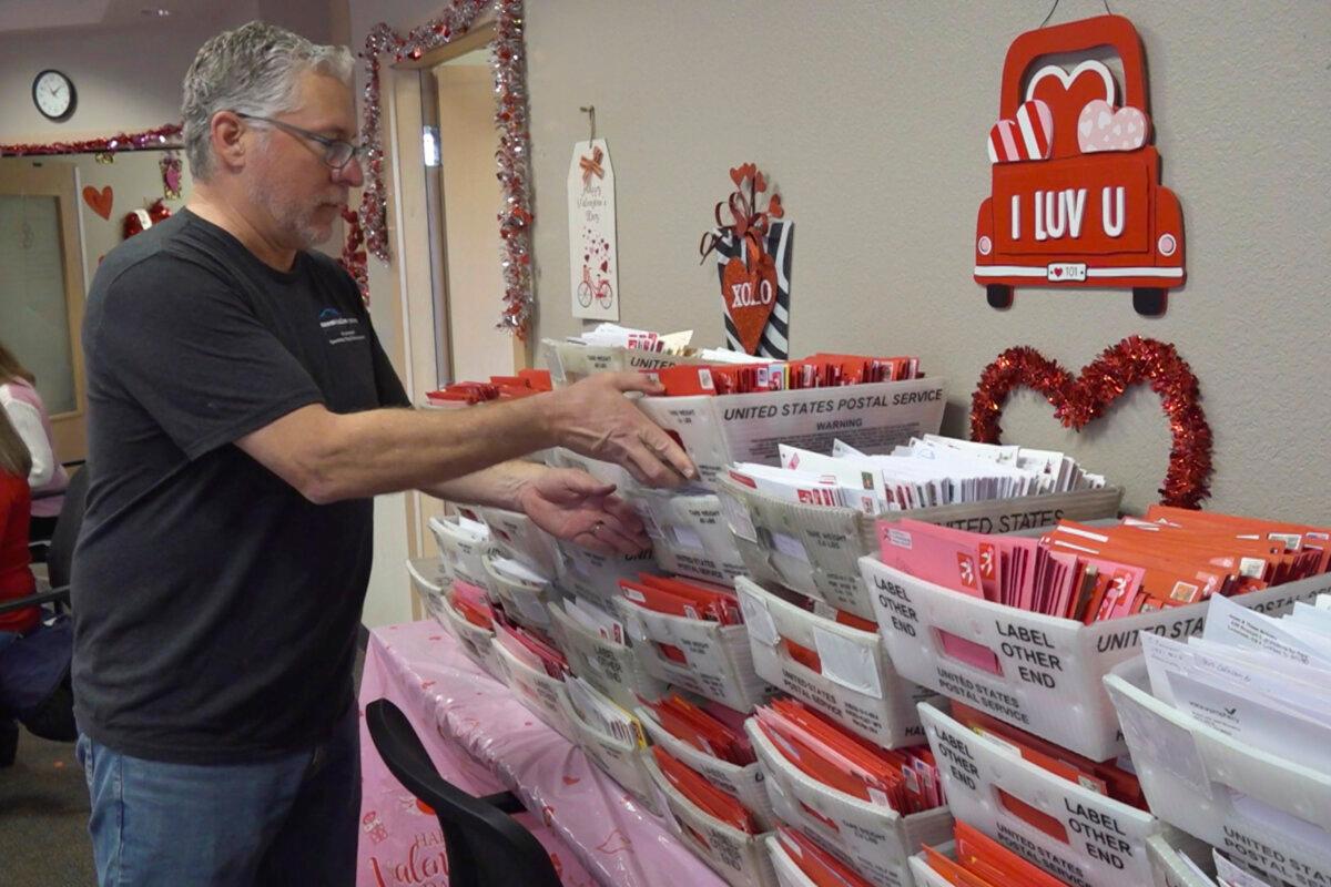 A volunteer sorts Valentine's Day cards in Loveland, Colo., on Feb. 7, 2024. (Thomas Peipert/AP Photo)