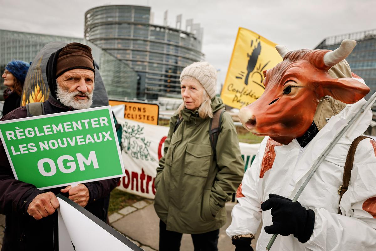 Farmers gather outside the European Parliament for a protest, in Strasbourg, France, on Feb. 6, 2024. (Jean-Francois Badias/AP Photo)