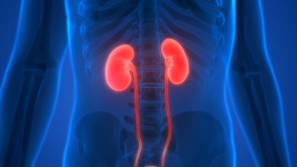 3 Expert Tips for Kidney Health: Promoting Longevity and Well-Being
