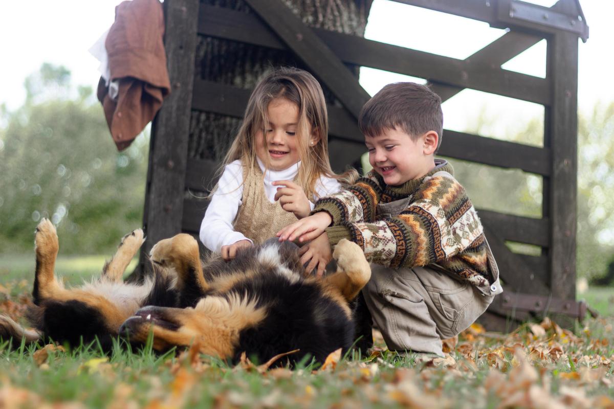 Observe how your dog interacts with children to see if they are comfortable with them. (Freepik)
