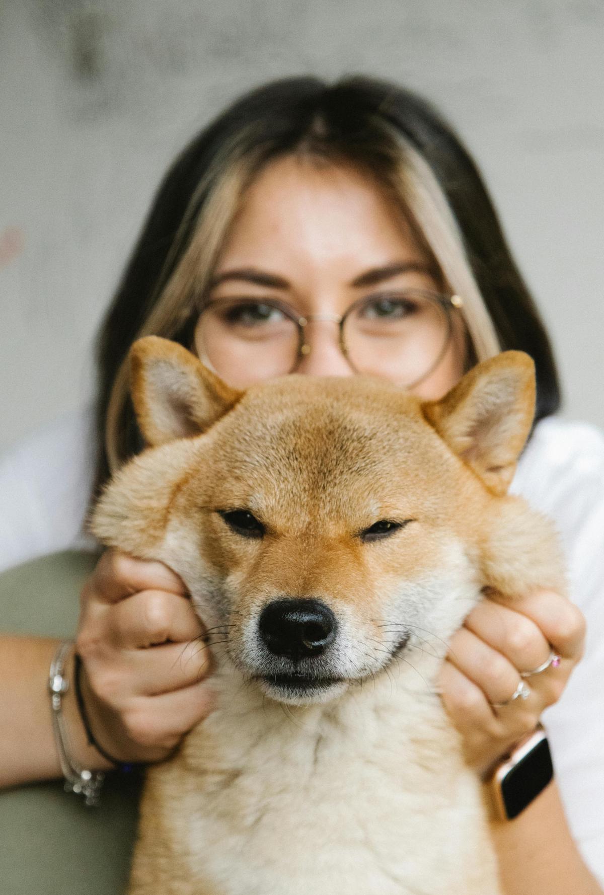 Create a strong bond with your dog so that you can be their safety net. (Meruyert Gonullu/Pexels)