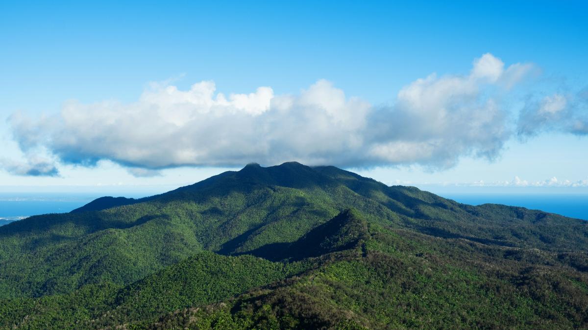 El Yunque covers an area of approximately 28,000 acres and encompasses a diverse range of ecosystems, including lush tropical forests, cascading waterfalls, and rugged mountain terrain. (Wenhao Ruan/Unsplash)