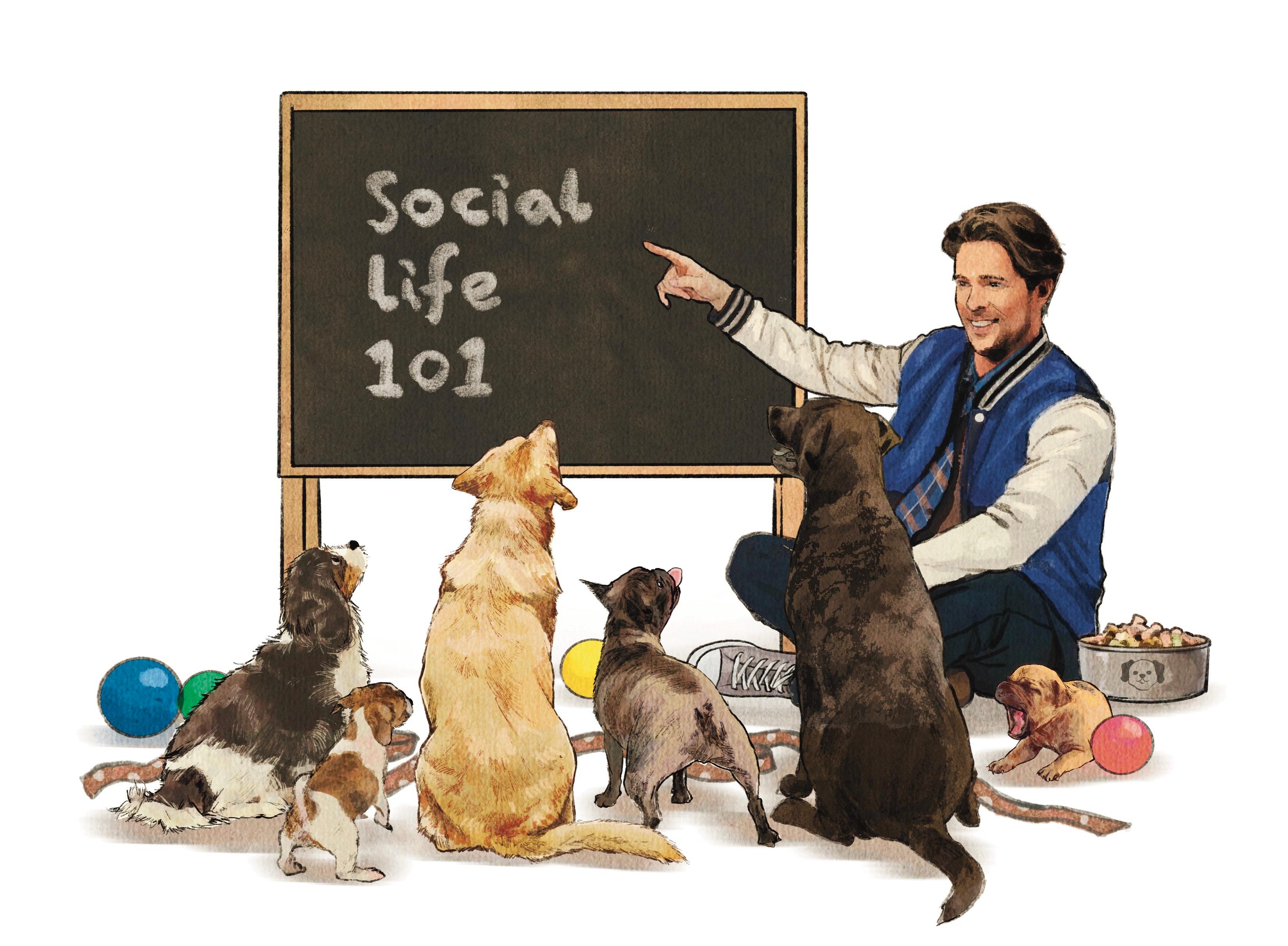 How to Socialize Your Dog, According to Expert Trainers