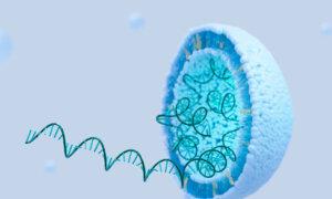 COVID Vaccine mRNA Can ‘Spread Systemically’ to Placenta and Infants of Women Vaccinated During Pregnancy