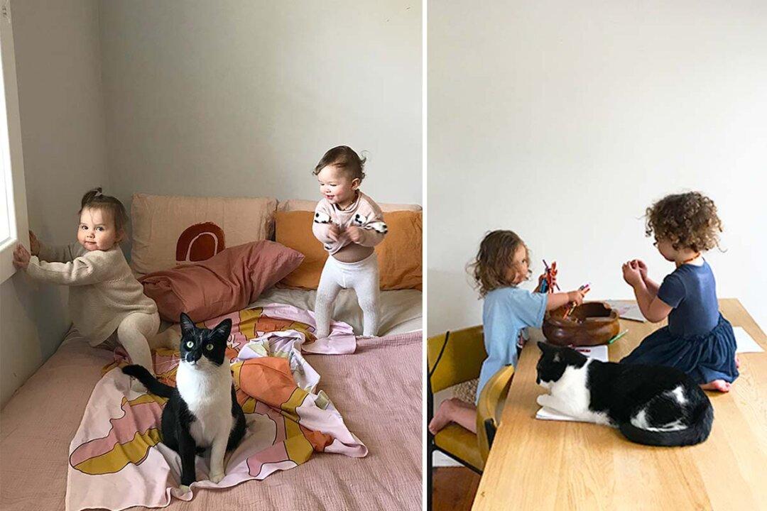 ‘The Constant in It All’: Rescued Cat Obsessed With Owner’s Twins Doesn’t Leave Their Side