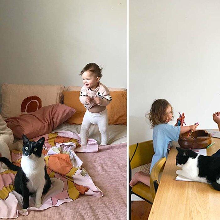 ‘The Constant in It All’: Rescued Cat Obsessed With Owner’s Twins Doesn’t Leave Their Side