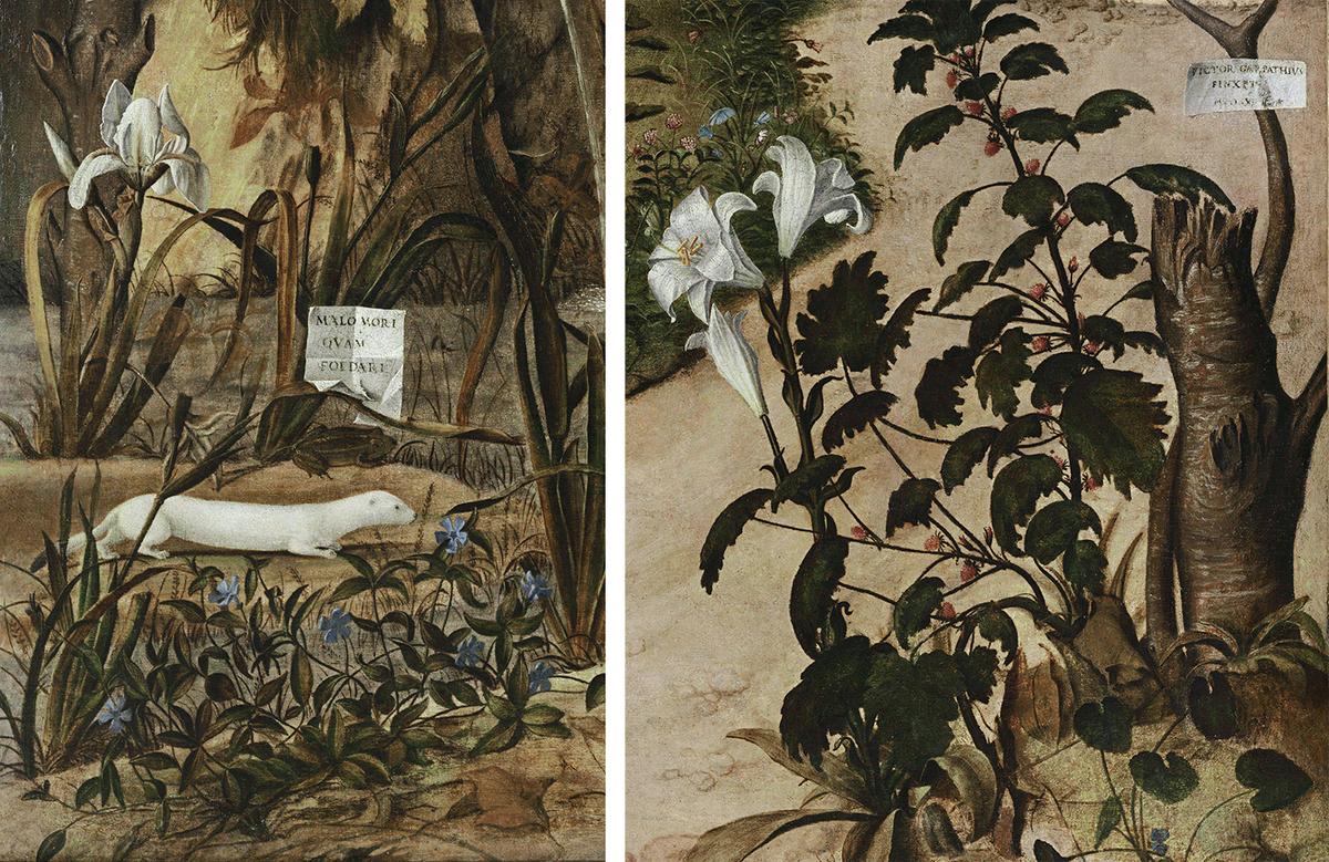 Details of flora and fauna with visual representation of death over dishonor from "Young Knight in a Landscape," circa 1505, by Vittore Carpaccio. (Public Domain)