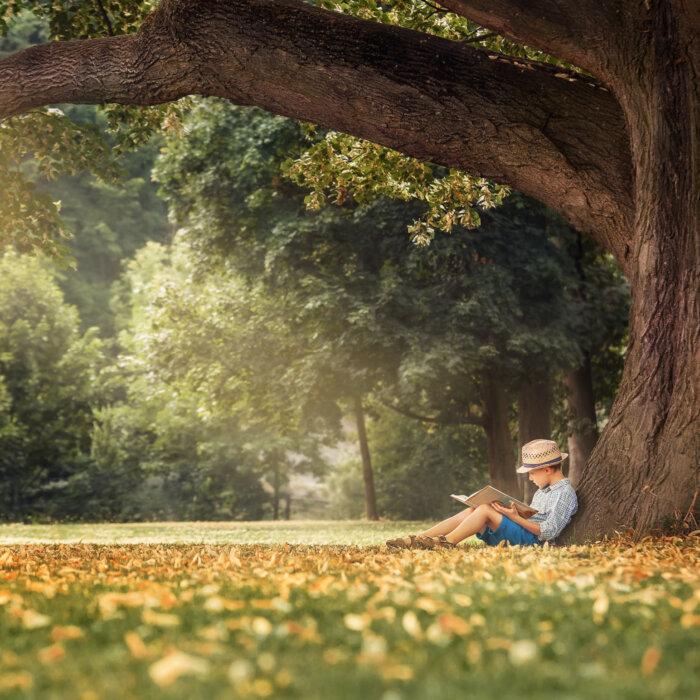 12 Interesting Books That Have Shaped Me