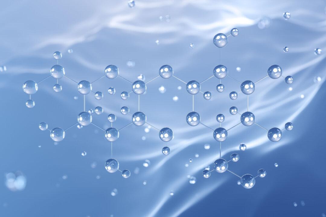 Trehalose: A Lesser-Known Sweetener With Untapped Health Benefits