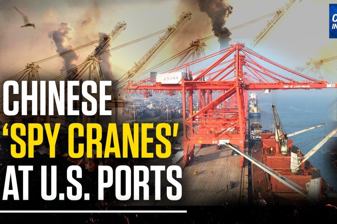 Biden Signs Executive Order on Chinese Cranes