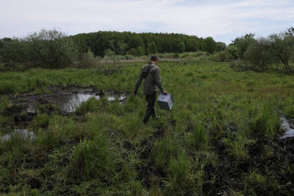 Fabian Frucht, a land manager of the Succow Stiftung Foundation, walks on a rewetted portion of the Sernitzmoor peatland near Greiffenberg, Germany, on May 31, 2023 (Sean Gallup/Getty Images)