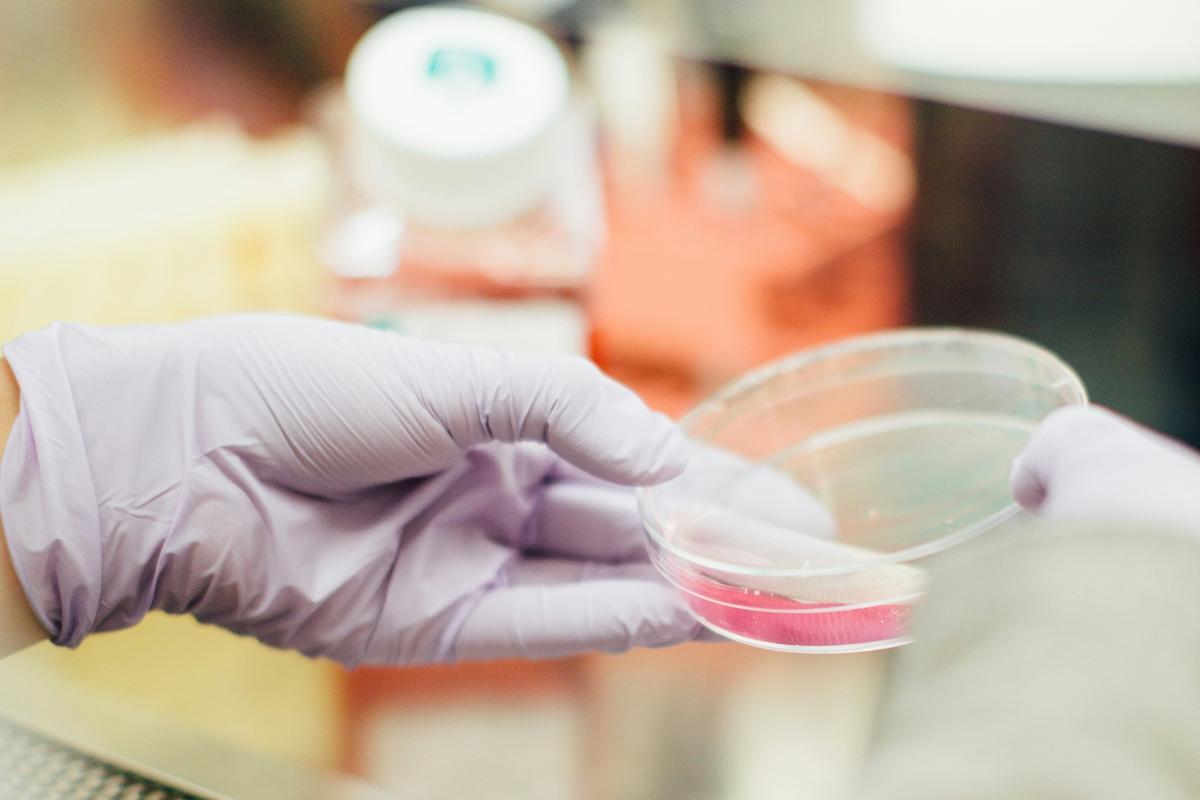 Alabama Supreme Court’s Embryo Ruling Embodies America’s Legal Heritage