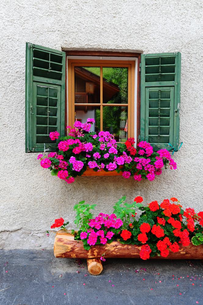 Window boxes are an easy and low-maintenance way to add scented flowers to your home. (hermitis/Shutterstock)