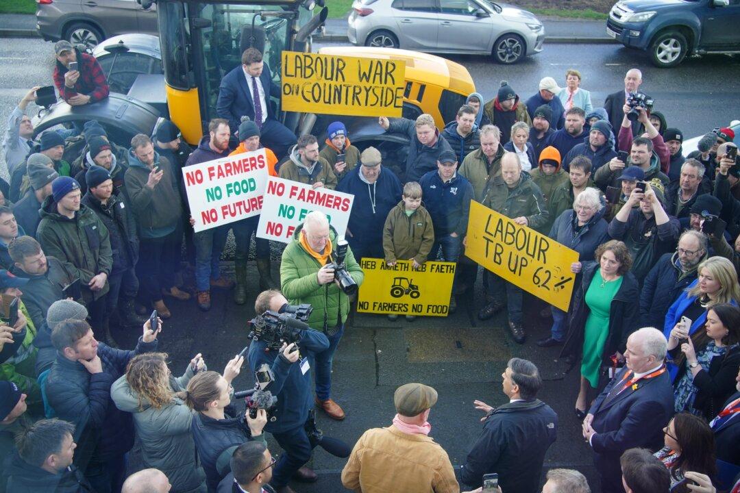 Sunak Throws Support Behind Welsh Farmers Against Subsidy Reforms