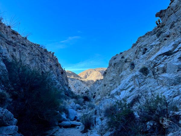 Embrace the Desert Season With a Camping Trip to Anza-Borrego This Winter