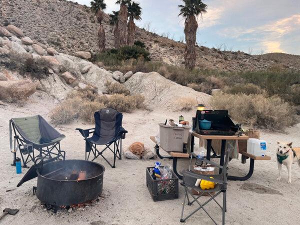 The author's campsite setup at Agua Caliente County Park. (Maura Fox/The San Diego Union-Tribune/TNS)