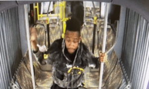 Suspect Arrested in Pepper-Spray Attack That Left Man Dead on Metro Bus