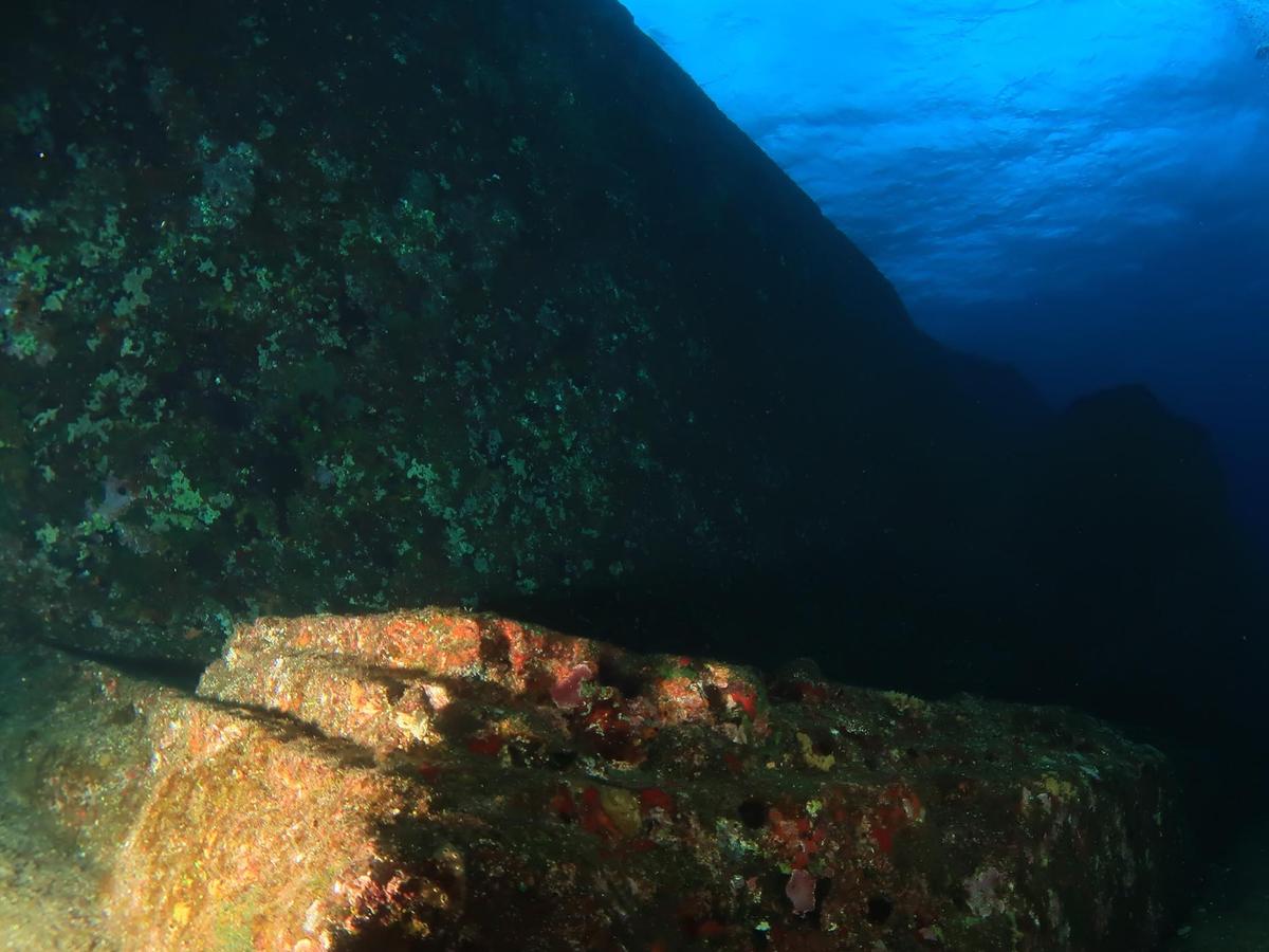 Detail showing the rock surface of the Yonaguni Monument.