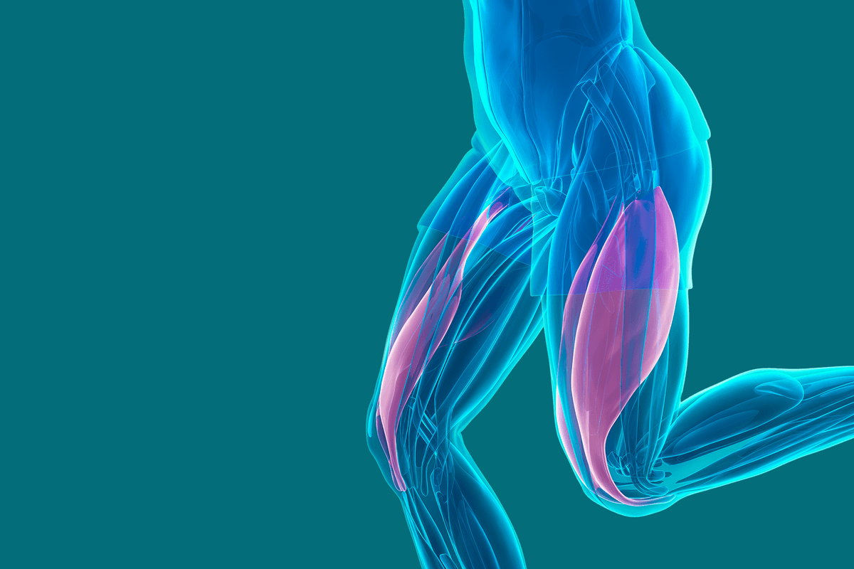 7 ‘Quadzilla’ Exercises to Strengthen Weak Legs and Improve Mobility