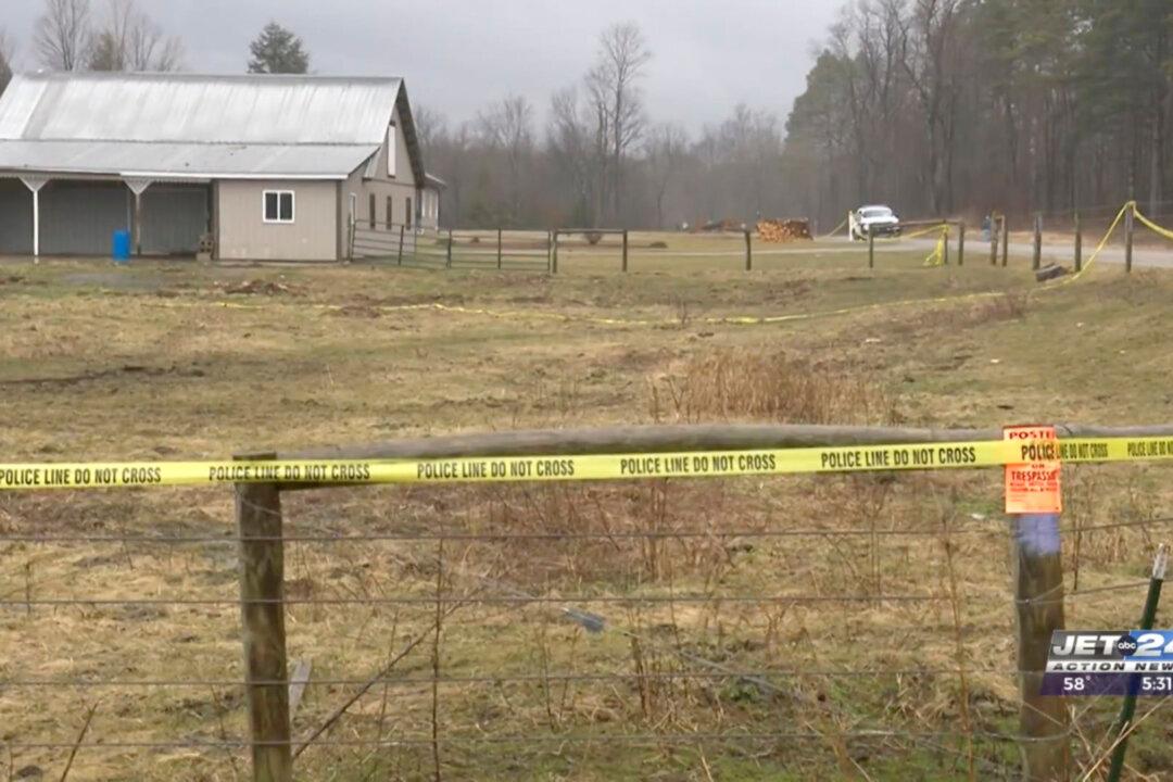 Slain Pregnant Amish Woman Had Cuts to Her Head and Neck, Police Say