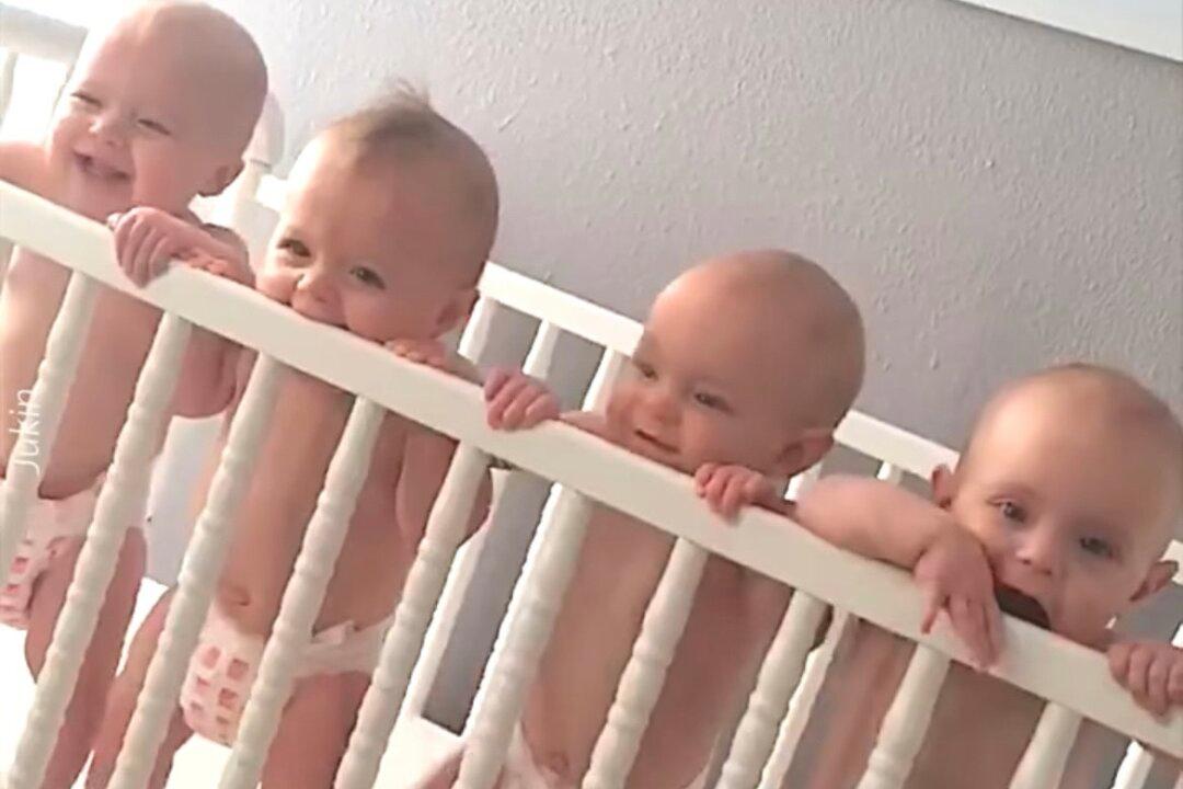 Tickles Are Great: Four Babies Laugh Together in Their Crib