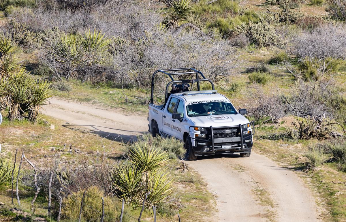 Border Patrol Arrests Man Wanted by Interpol on Suspicion of Abuse of a Minor