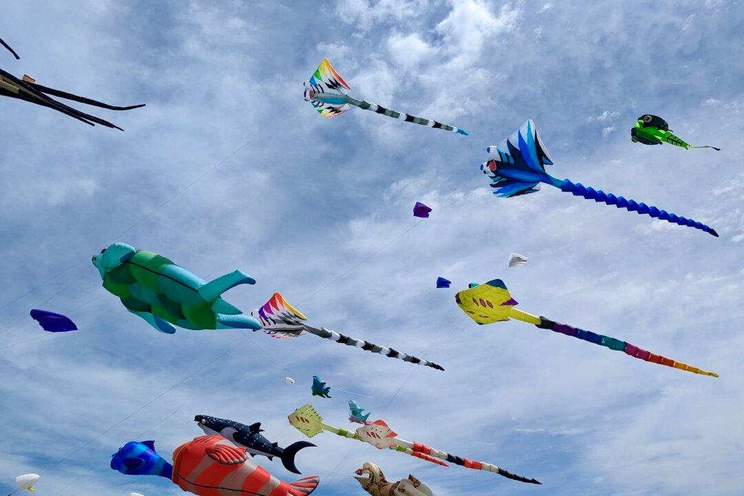 California Resident Brings Joy to the Community and Beyond With Giant Colorful Kites