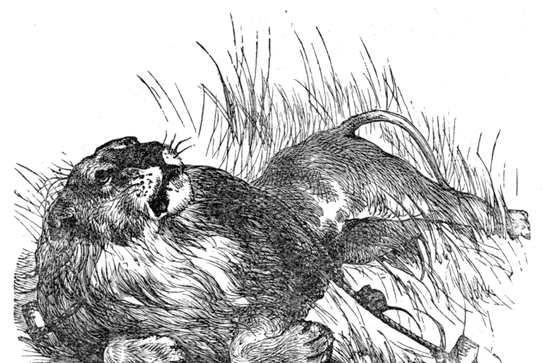 A Proverb to Cherish: ‘One Good Turn Deserves Another’