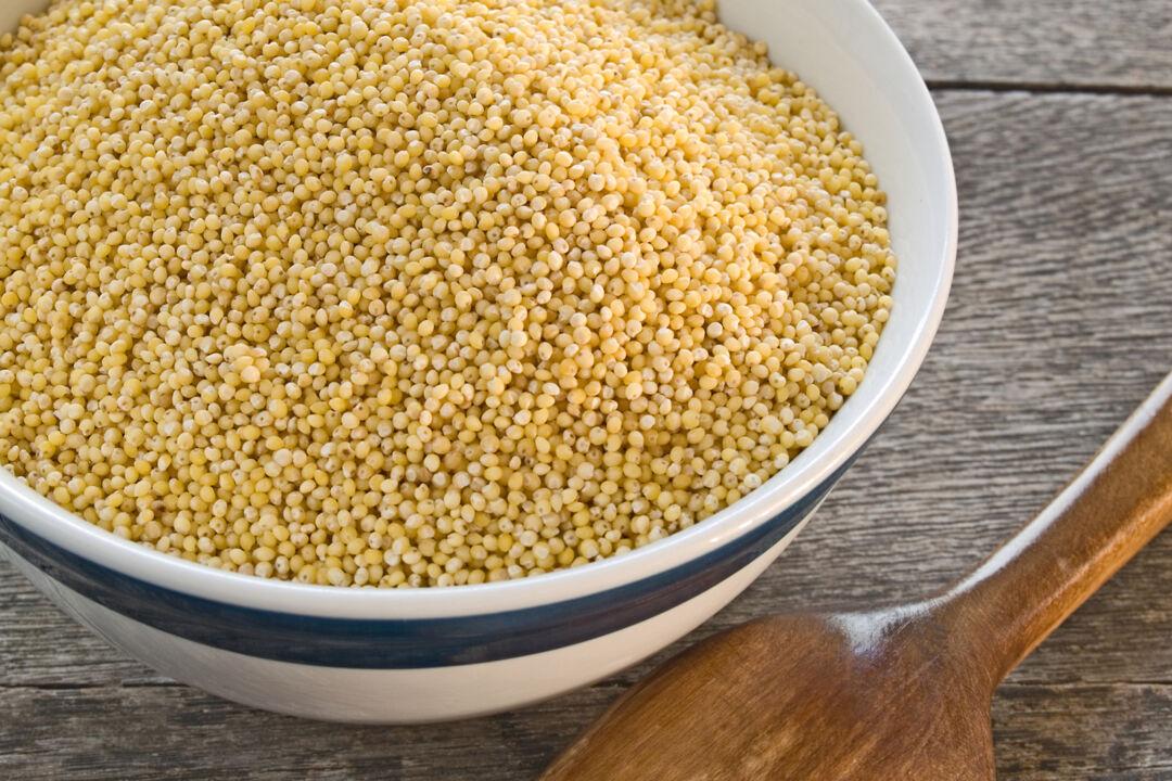 Among the Many Uses of Millet? Polenta