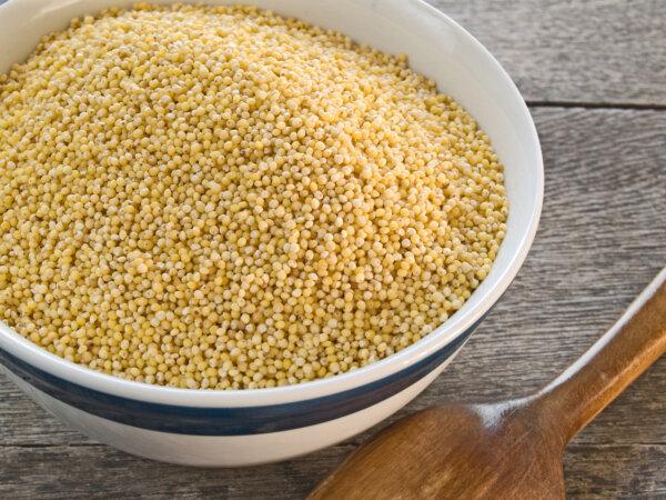 Among the Many Uses of Millet? Polenta