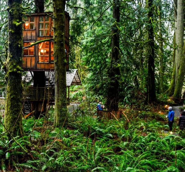 TreeHouse Point, a collection of seven rentable treehouses, is neighbored by the Raging River, about 30 minutes east of Seattle. The architectural star of the show is Trillium, shown here, a two-level wonder with 80 window panes, all clinging to the ample trunk of a western red cedar. It was completed in 2009. (Christopher Reynolds/Los Angeles Times/TNS)