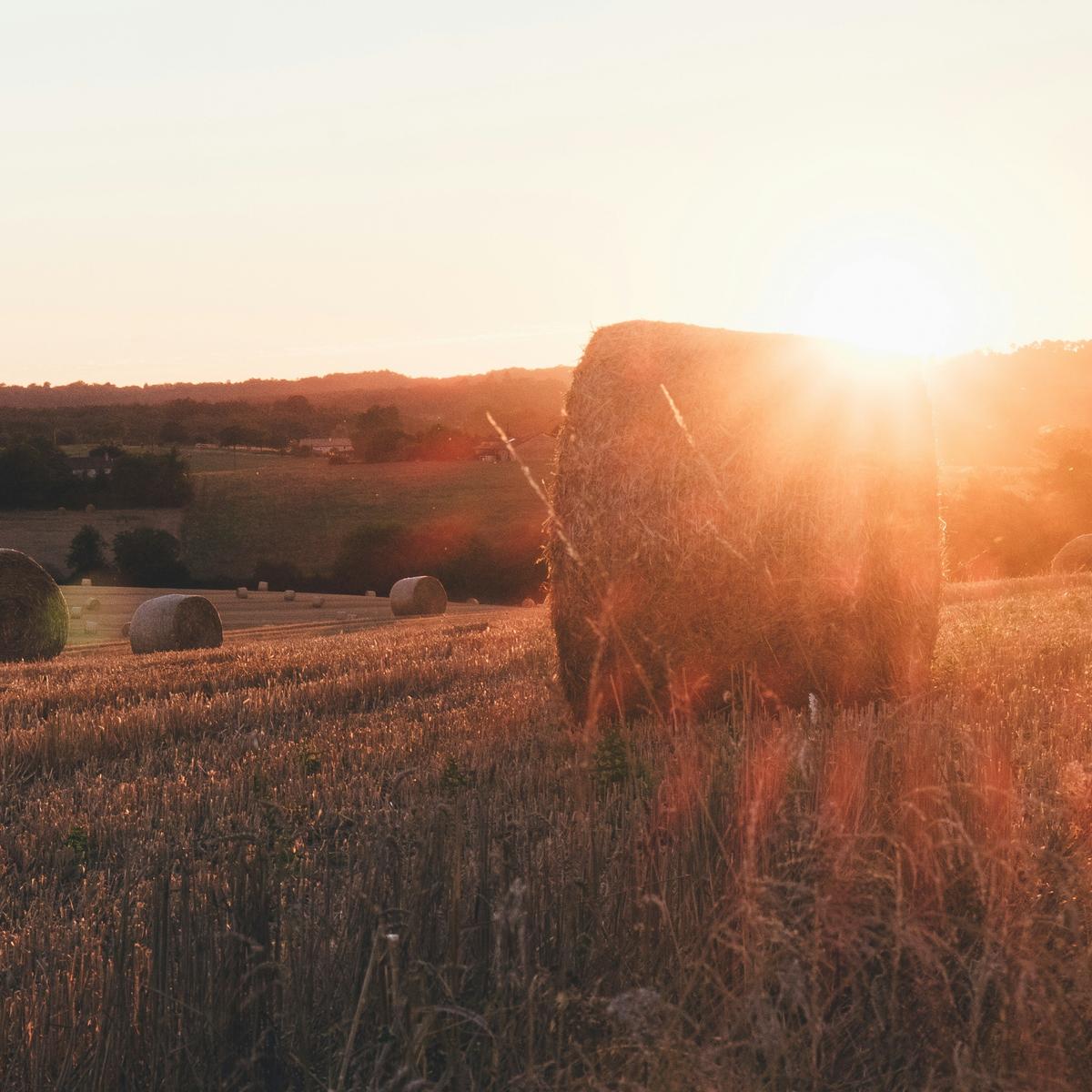 The Scrambling of Ideology