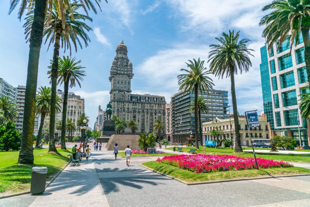 Finding Peace in Montevideo