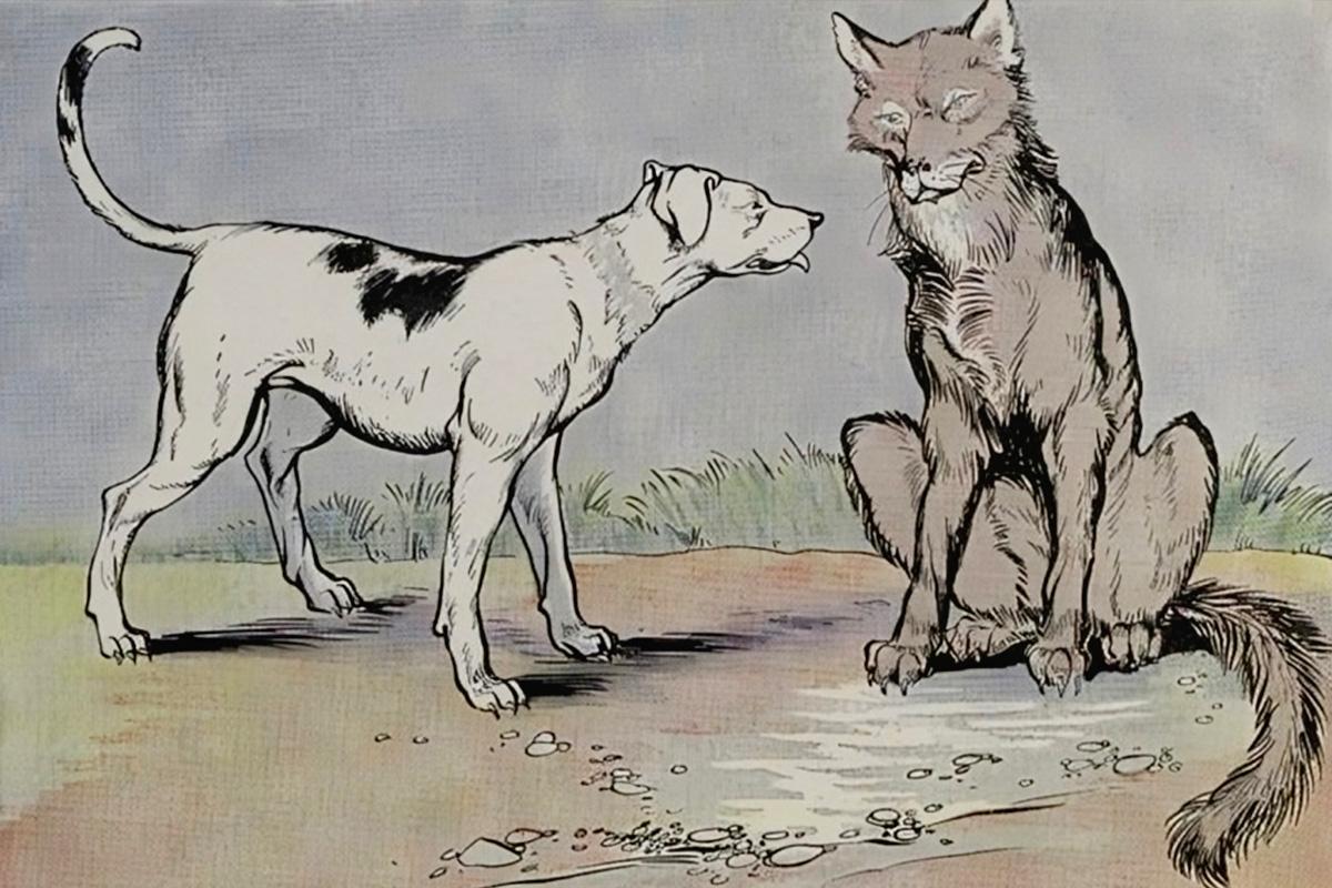 "The Wolf and the House Dog," illustrated by Milo Winter, from “The Aesop for Children,” 1919. (PD-US)