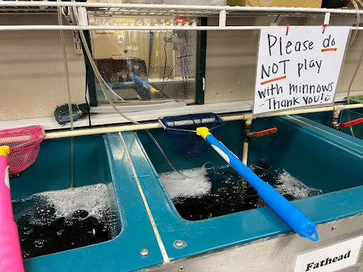 The minnow station at Ralphie‘s convenience store on Highway 10 in Minnesota on March 5, 2024. (Beth Brelje/The Epoch Times)