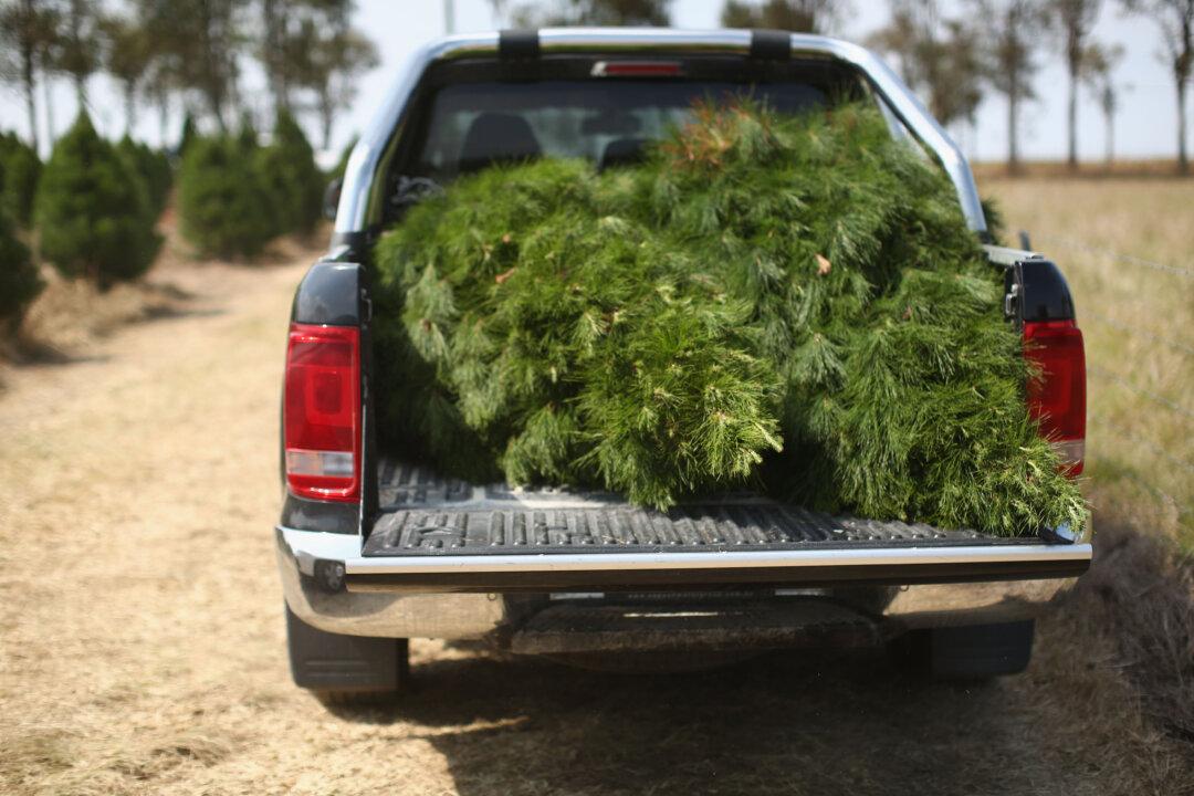 Farmers Call for Exception to New Emissions ‘Tax’ on Vehicles