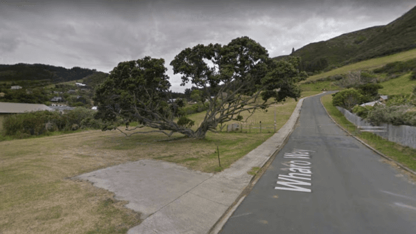 Google Earth image of Wharo Way, Ahipara, with No. 1 (which includes the pōhutukawa) at the front left and No. 3, which is a public reserve, behind it. (Google Streetview/Screenshot)