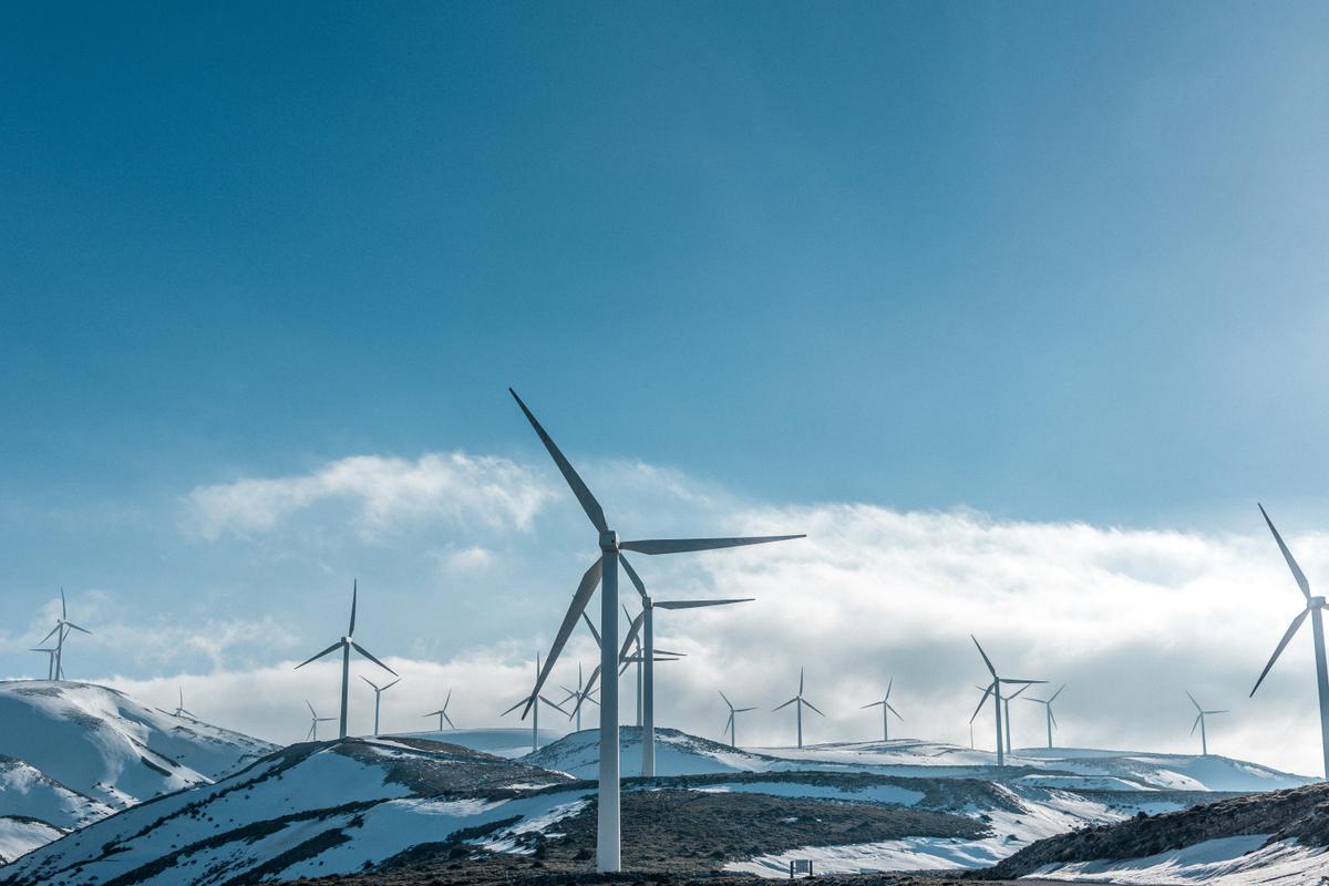The Renewable Scam