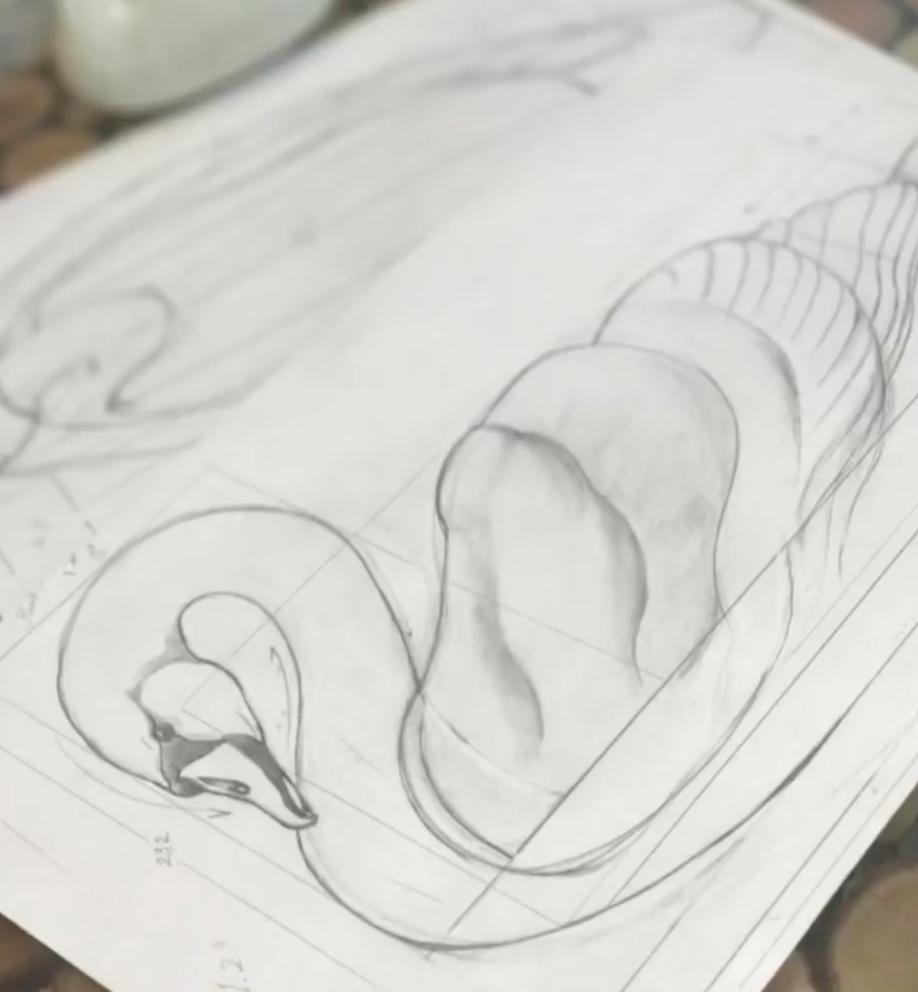The design for the swan cradle. (Courtesy of Hannah Weidmann)
