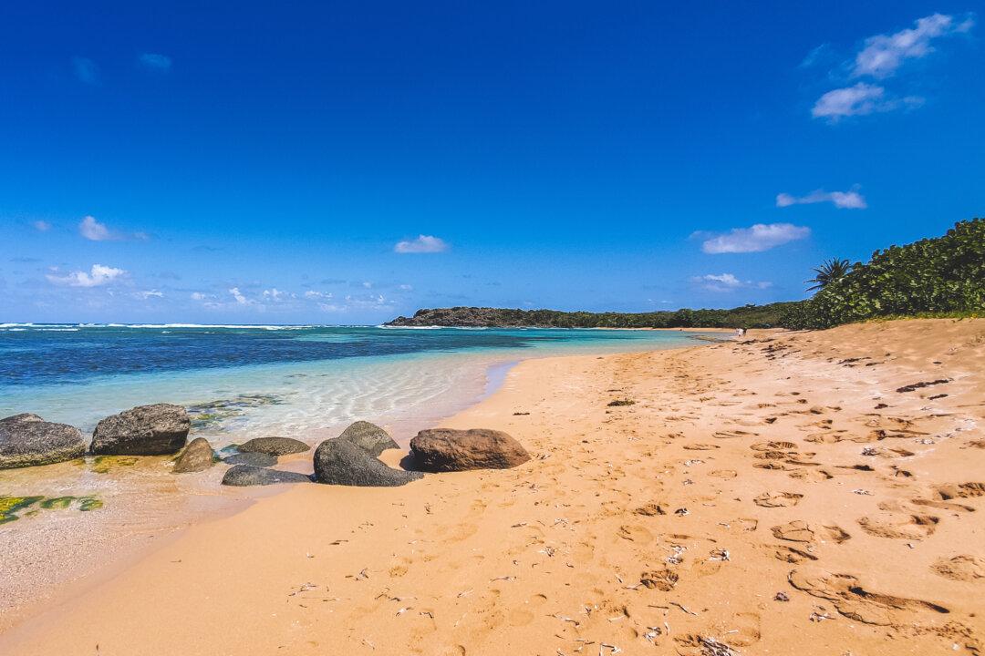 4 Best Beaches in Puerto Rico for Hikers, Private Vibes, and More