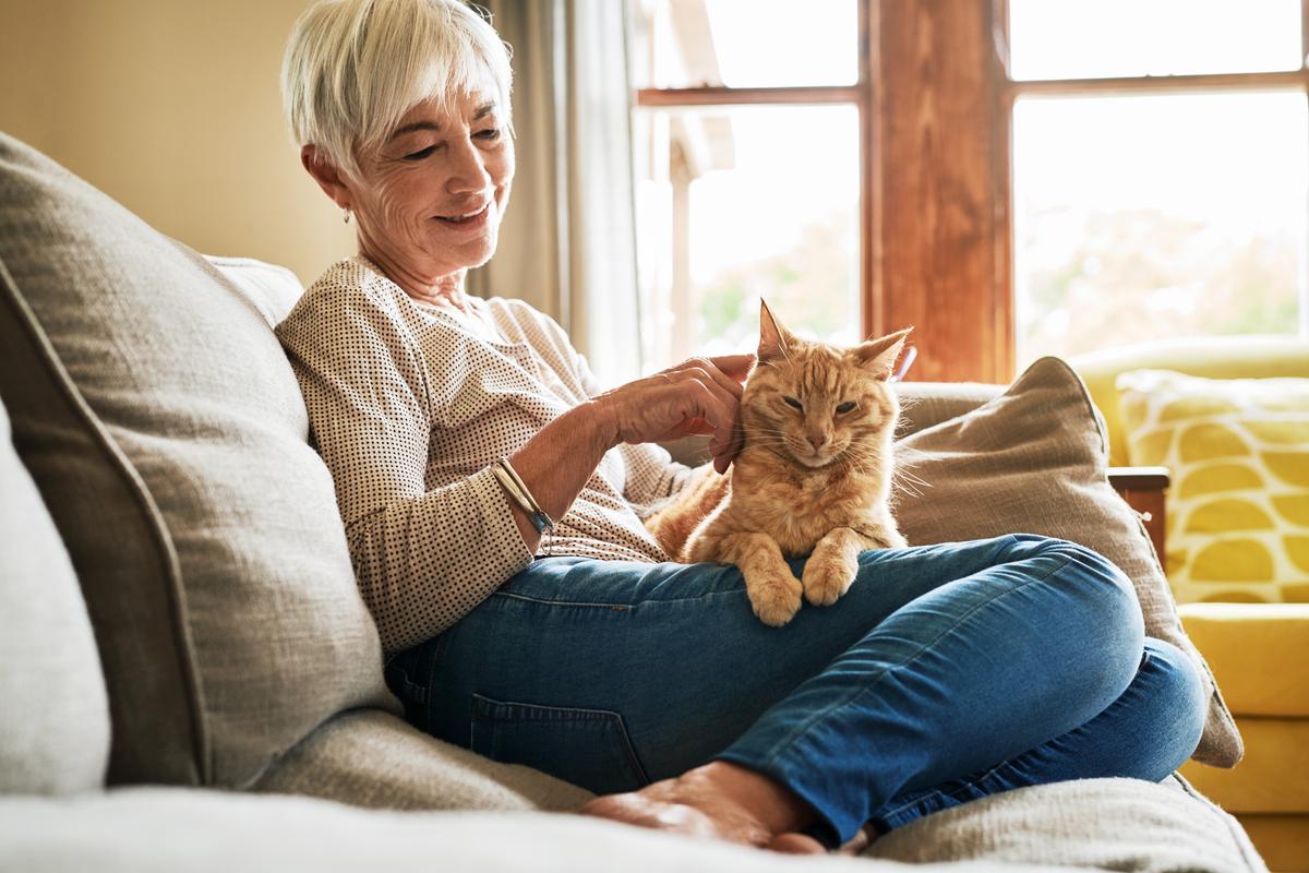 Positive interactions with your cat usually elicit purrs. But different kinds of purrs have different meanings. (Dean Mitchell/E+/Getty Images)