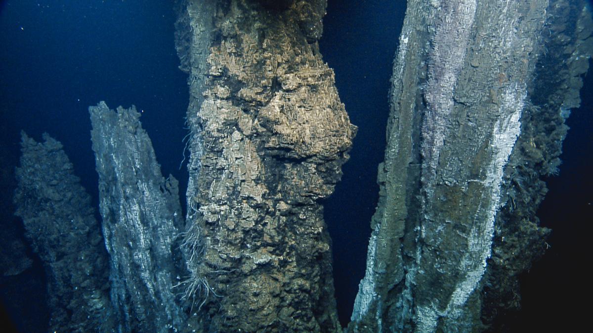 Deepsea Eruption Expected Off Vancouver Island After 200 Earthquakes in an Hour