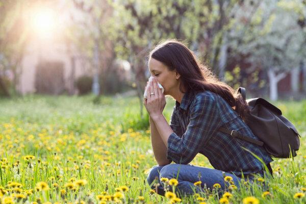 Combat the Sneezing Season With a Natural Allergy Relief Kit