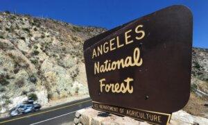 Woman Found Dead in a Van Near Angeles National Forest