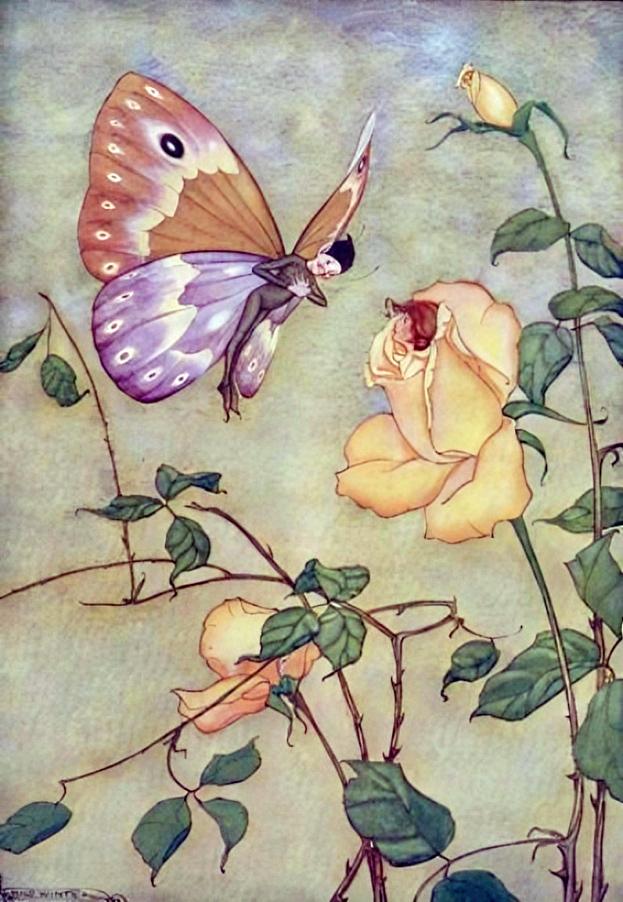 "The Rose and the Butterfly," illustrated by Milo Winter, from “The Aesop for Children,” 1919. (PD-US)