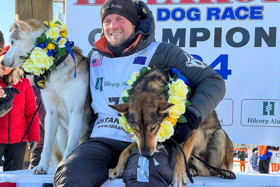 Dallas Seavey Wins 6th Iditarod Championship, Most Ever in the World’s Most Famous Sled Dog Race