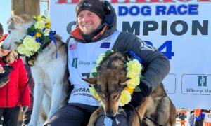 Dallas Seavey Wins 6th Iditarod Championship, Most Ever in the World’s Most Famous Sled Dog Race